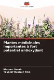 Plantes médicinales importantes à fort potentiel antioxydant