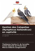 Gestion des Calopsitas (Nymphicus hollandicus) en captivité