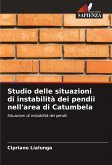 Studio delle situazioni di instabilità dei pendii nell'area di Catumbela