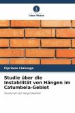 Studie über die Instabilität von Hängen im Catumbela-Gebiet