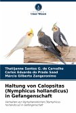 Haltung von Calopsitas (Nymphicus hollandicus) in Gefangenschaft