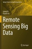 Remote Sensing Big Data