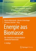 Energie aus Biomasse (eBook, PDF)