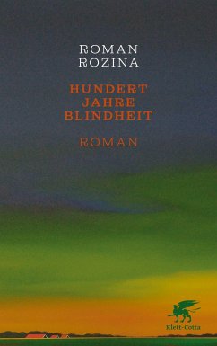 Hundert Jahre Blindheit (Mängelexemplar) - Rozina, Roman