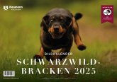 Schwarzwildbracken 2025