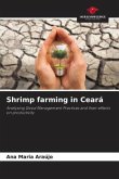 Shrimp farming in Ceará