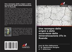 Cover Una rassegna delle origini e delle occorrenze della mineralizzazione 3Ts in Ruanda