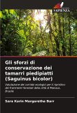 Gli sforzi di conservazione dei tamarri piedipiatti (Saguinus bicolor)