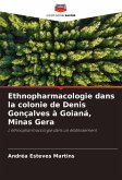 Ethnopharmacologie dans la colonie de Denis Gonçalves à Goianá, Minas Gera