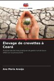 Élevage de crevettes à Ceará