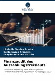 Finanzaudit des Auszahlungskreislaufs