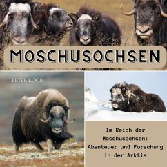 Cover Moschusochsen