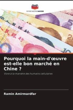 Pourquoi la main-d'oeuvre est-elle bon marché en Chine ? - Amirmardfar, Ramin