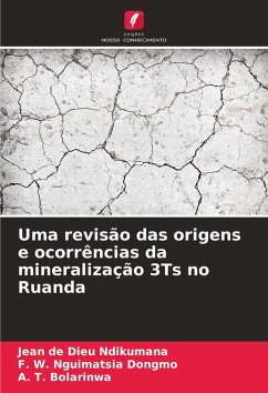 Cover Uma revisão das origens e ocorrências da mineralização 3Ts no Ruanda