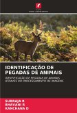 IDENTIFICAÇÃO DE PEGADAS DE ANIMAIS