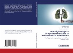 Attapulgite Clays: A Comprehensive Guide to Environmental Remediation