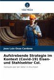 Aufstrebende Strategie im Kontext (Covid-19) Eisen- und Stahlsektor Col.