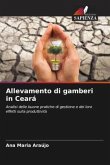 Allevamento di gamberi in Ceará