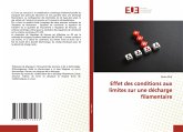 Effet des conditions aux limites sur une décharge filamentaire Effet des conditions aux limites sur une décharge filamentaire