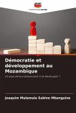 Démocratie et développement au Mozambique Démocratie et développement au Mozambique