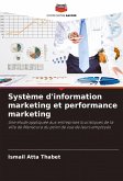 Système d'information marketing et performance marketing