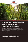 Efforts de conservation des tamarins pies (Saguinus bicolor)