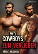 Zwei Cowboys zum Verlieben! Liebesroman - Bild 1