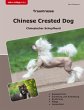 Traumrasse Chinese Crested Dog - Bild 1