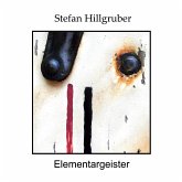 Elementargeister (eBook, ePUB)