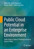 Public Cloud Potential in an Enterprise Environment (eBook, PDF)