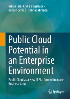 Public Cloud Potential in an Enterprise Environment (eBook, PDF) - Feil, Niklas; Bögelsack, André; Schulz, Ramón; Abrantes, Gabriel