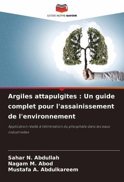 Argiles attapulgites : Un guide complet pour l'assainissement de l'environnement - N. Abdullah, Sahar;M. Abod, Nagam;A. Abdulkareem, Mustafa