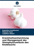 Krankheitsentwicklung und Management der Stemphylliumfäule des Knoblauchs