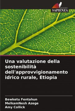 Una valutazione della sostenibilità dell'approvvigionamento idrico rurale, Etiopia - Fentahun, Bewketu;Azege, MelkamNesh;Collick, Amy