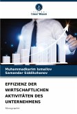 EFFIZIENZ DER WIRTSCHAFTLICHEN AKTIVITÄTEN DES UNTERNEHMENS