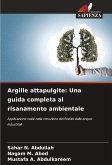 Argille attapulgite: Una guida completa al risanamento ambientale