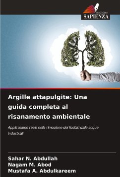 Argille attapulgite: Una guida completa al risanamento ambientale - N. Abdullah, Sahar;M. Abod, Nagam;A. Abdulkareem, Mustafa