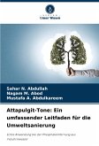 Attapulgit-Tone: Ein umfassender Leitfaden für die Umweltsanierung