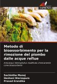 Metodo di bioassorbimento per la rimozione del piombo dalle acque reflue