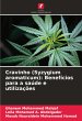 Cravinho (Syzygium aromaticum):... - Bild 1