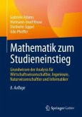 Mathematik zum Studieneinstieg