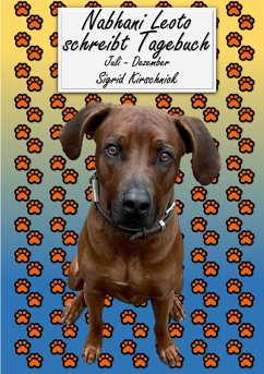 Cover Nabhani Leoto schreibt Tagebuch