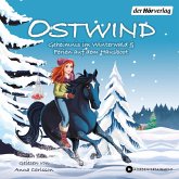 Ostwind. Geheimnis im Winterwald & Ferien auf dem Hausboot (MP3-Download)