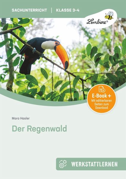 Der Regenwald (eBook, PDF)