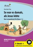So war es damals, als Jesus lebte (eBook, PDF)