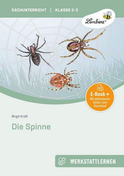 Die Spinne (eBook, PDF)