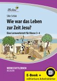 Wie war das Leben zur Zeit Jesu? (eBook, PDF)