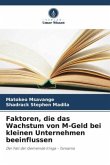 Faktoren, die das Wachstum von M-Geld bei kleinen Unternehmen beeinflussen