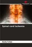 Spinal cord ischemia