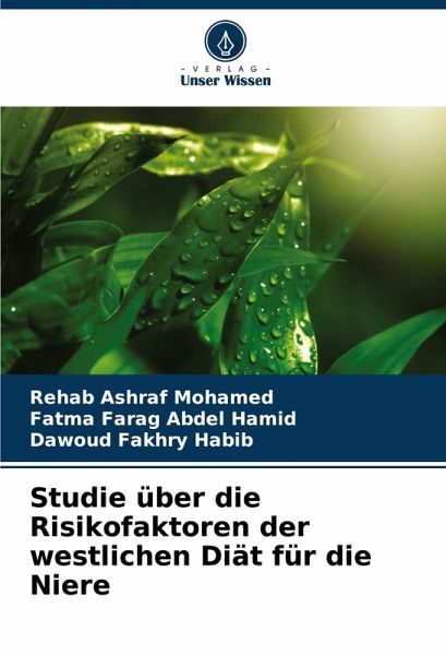 Studie über die Risikofaktoren der westlichen Diät für die Niere